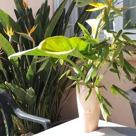 Frühstückspension Atrium Augusta *