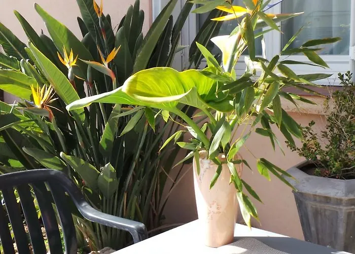 Bed & Breakfast Atrium Augusta *